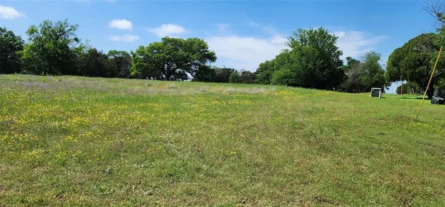 a view of a green field with trees in the background