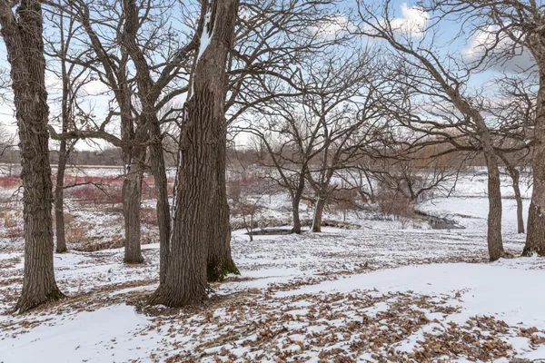 $375,000 | 7798 Highway 218, Owatonna, MN 55060