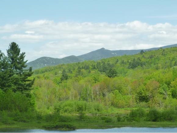 11 Village Road, Unit 7 Campton, NH 03223 - Photo 3 of 19