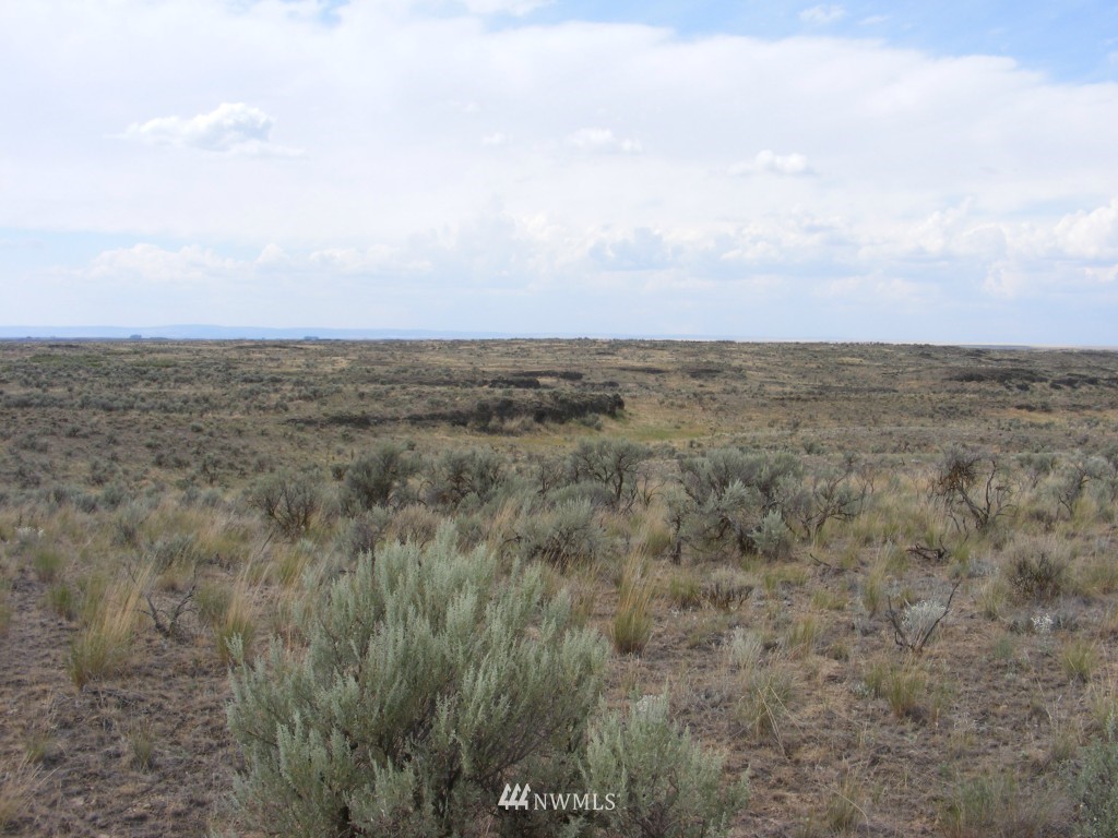 0 Rd 16.5 Ne Moses Lake Northeast Moses Lake, WA 98837 - Photo 1 of 4 Gallery Image 1
