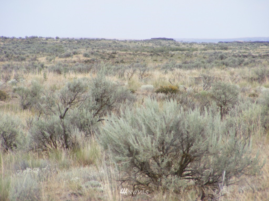 0 Rd 16.5 Ne Moses Lake Northeast Moses Lake, WA 98837 - Photo 3 of 4 Gallery Image 3