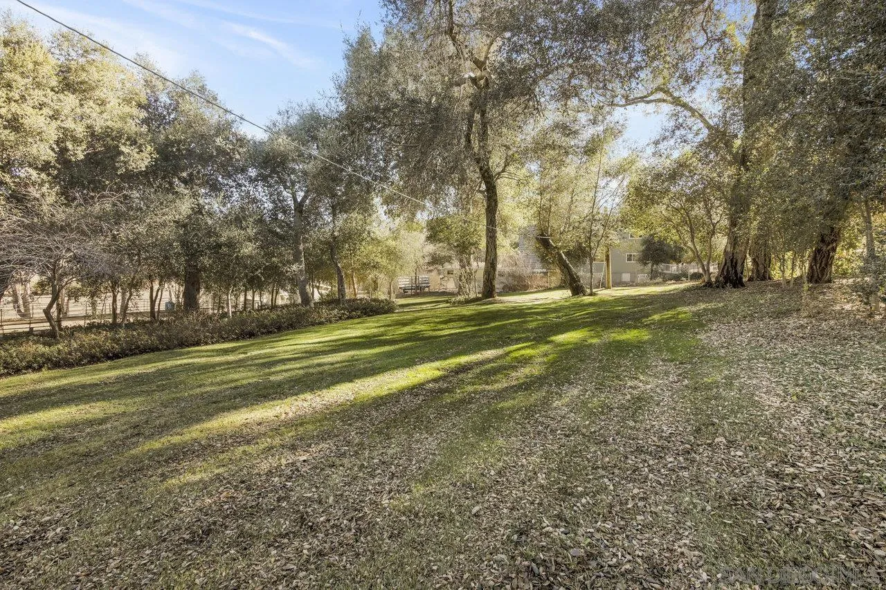 9018 Vernal Lane Descanso, CA 91916 - Photo 39 of 56 a view of a field with trees