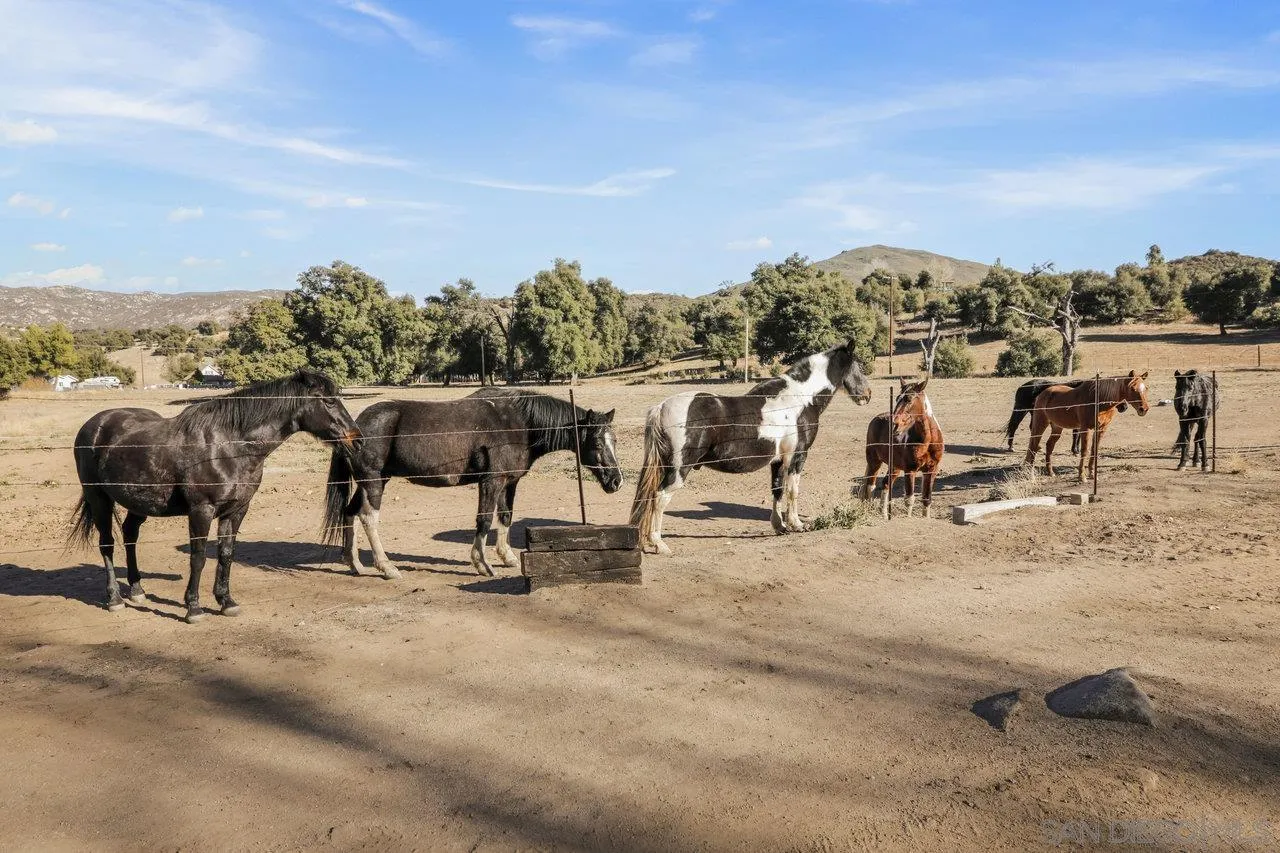 9018 Vernal Lane Descanso, CA 91916 - Photo 53 of 56 a view of a yard with furniture