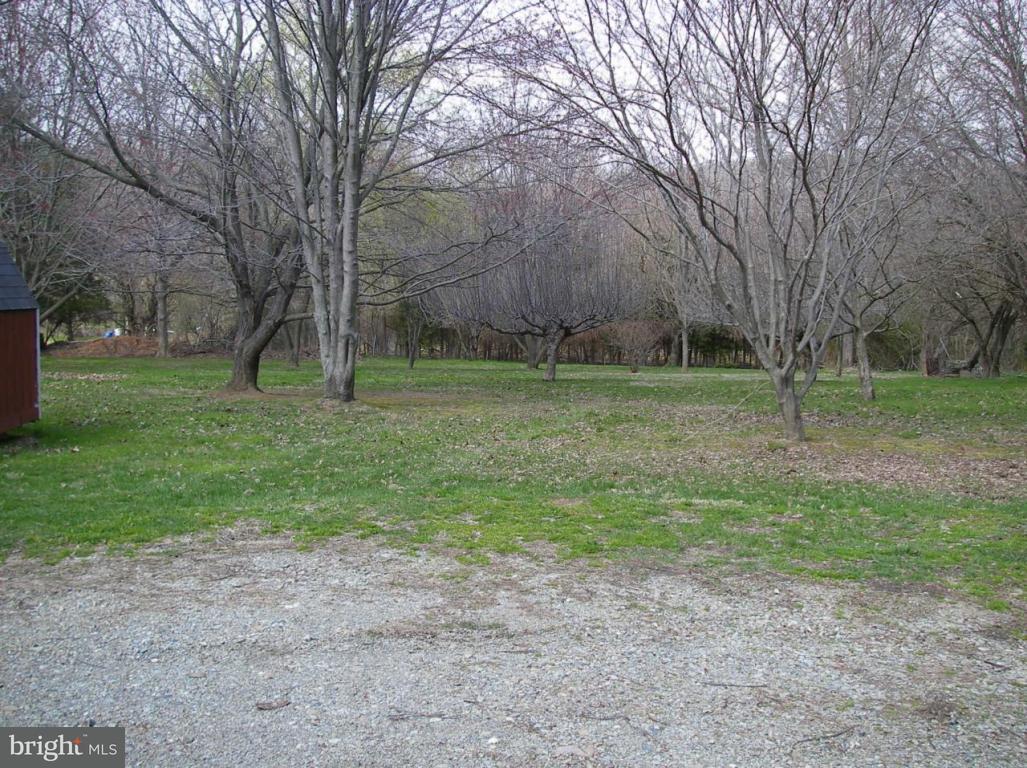 492 Kirks Mill Road Nottingham, PA 19362 - Photo 5 of 5 a view of a park with large trees