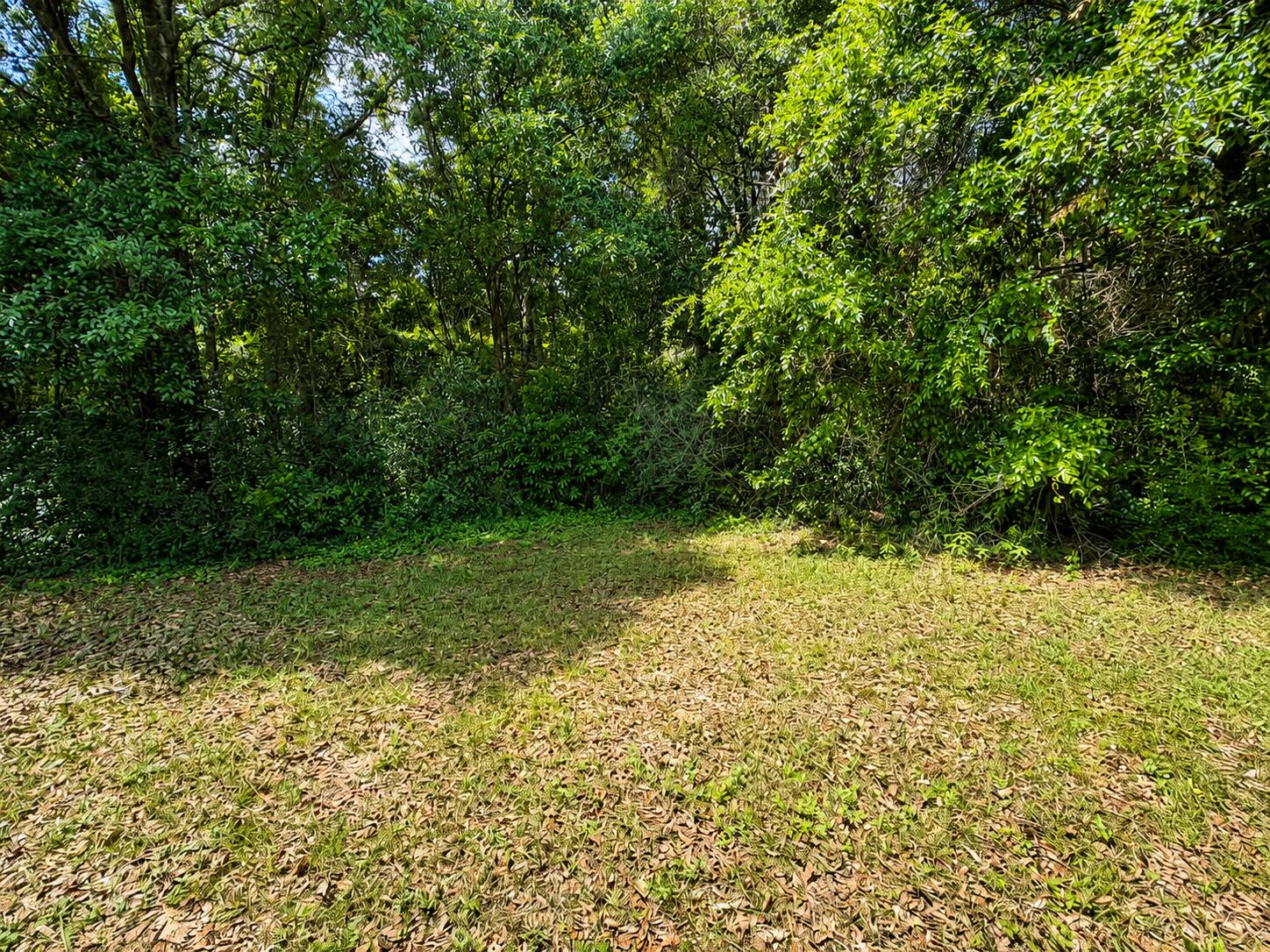 5326 Vernon Taylor Road Baker, FL 32531 - Photo 6 of 19 3