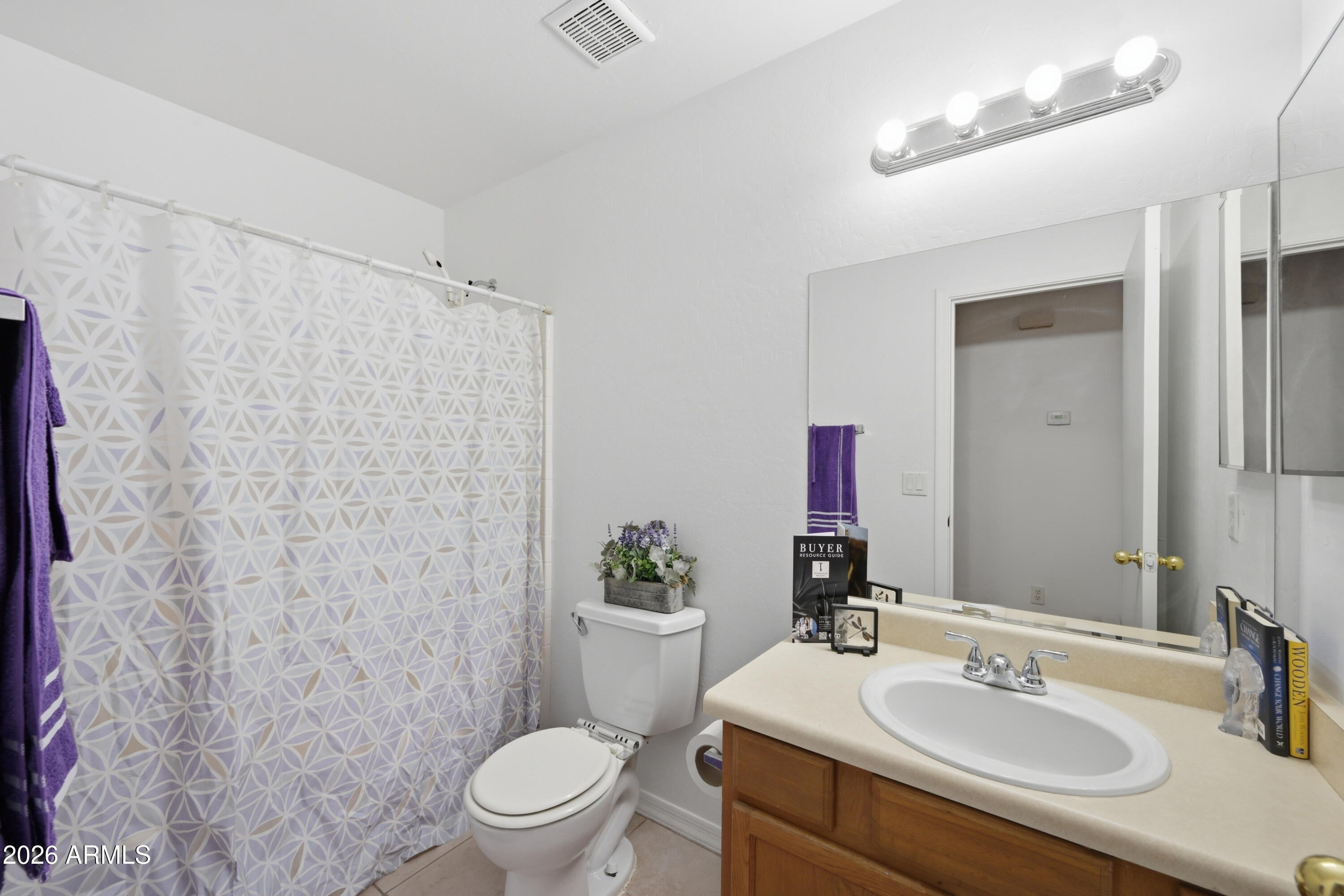 3527 East Batten Road Eloy, AZ 85131 - Photo 10 of 17 a bathroom with a sink vanity mirror and toilet