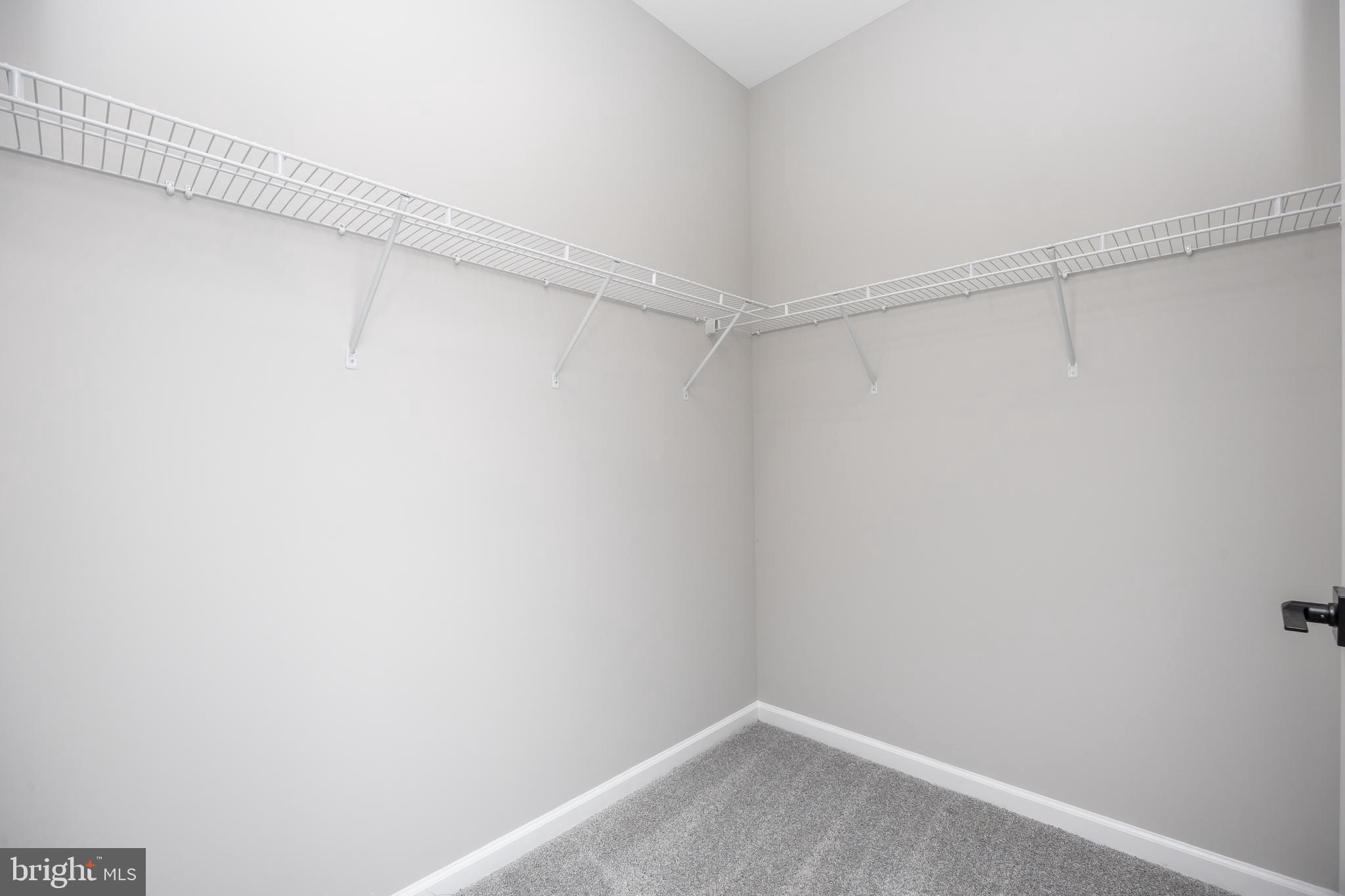 11775 St Stephens Way Princess Anne, MD 21853 - Photo 35 of 51 a view of a room with racks on the wall