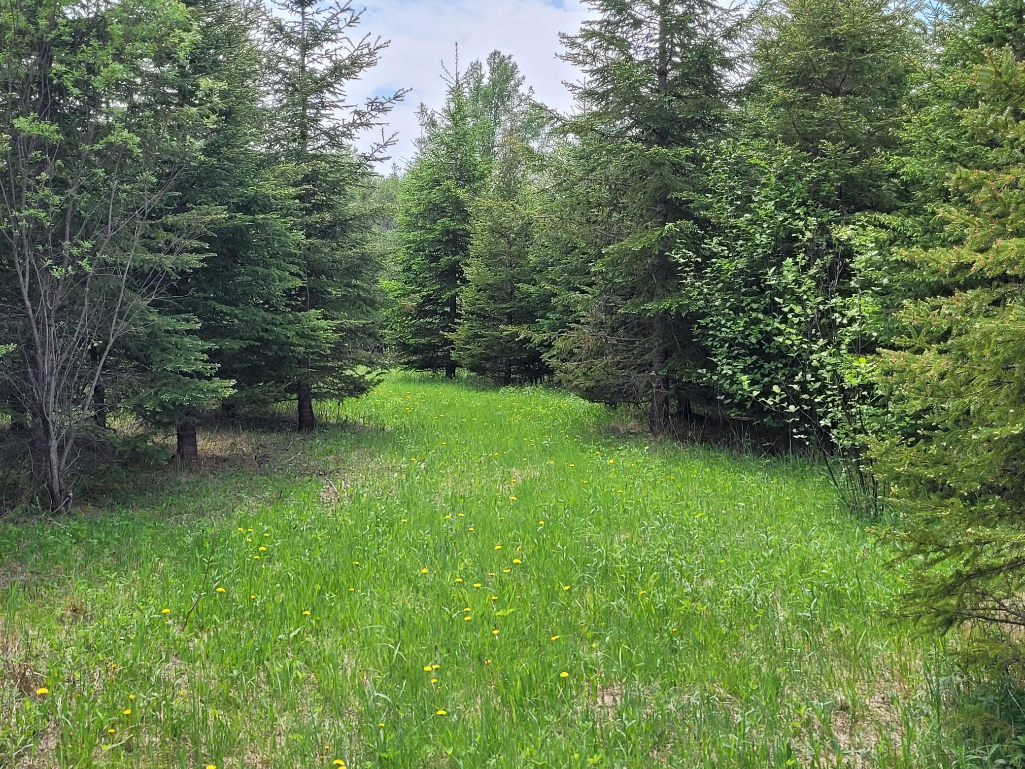 68401 County Road 547 Cook, MN 55723 - Photo 23 of 29
