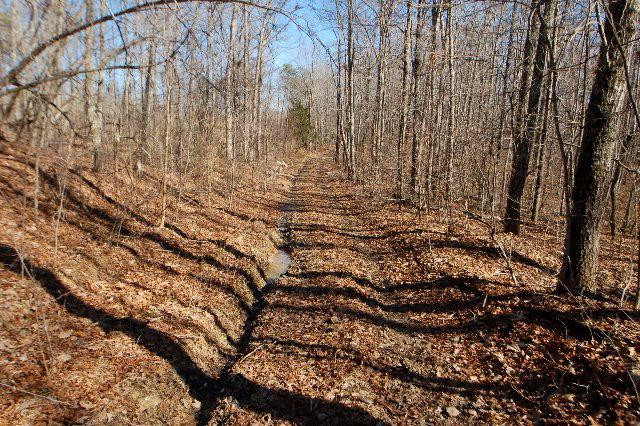 2040 Mandy Ridge Wayland, KY 41666 - Photo 26 of 36 Photo 27