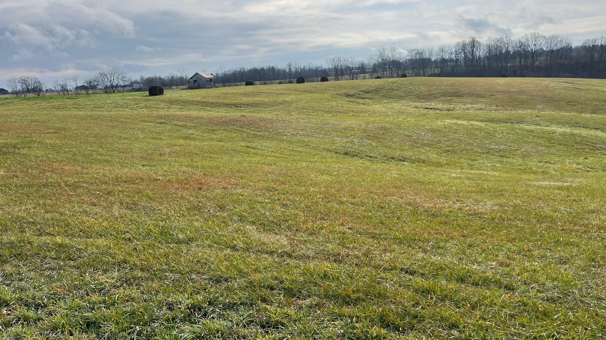 360-5 Mulligan Road Dry Ridge, KY 41035 - Photo 4 of 19