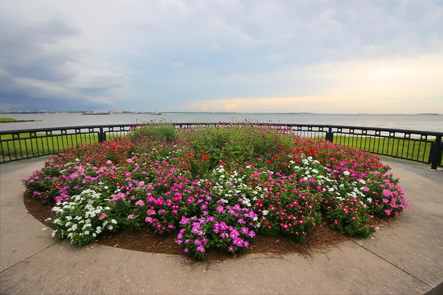 $11,000 | 3 Exchange Street, Charleston, SC 29401