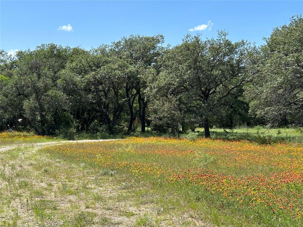 341 West Fm 574 Goldthwaite, TX 76844 - Photo 4 of 40 a view of a lake with a yard