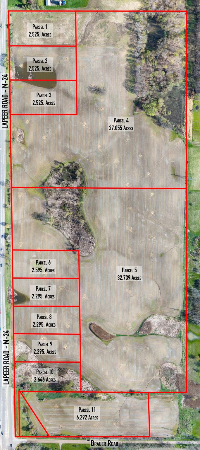 Lot 4 Lapeer Road Metamora, MI 48455 - Photo 2 of 15 1-web-or-mls-Outlines (1 of 1).jpg
