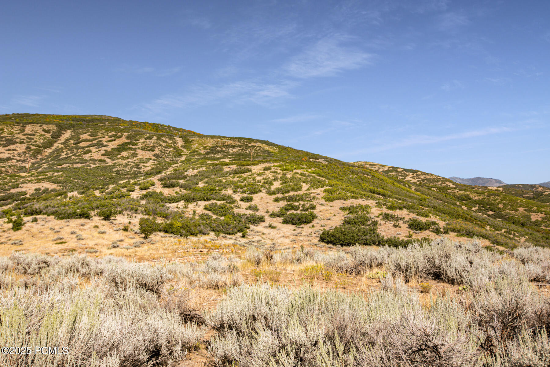 944 West Wards Lane Midway, UT 84049 - Photo 4 of 83