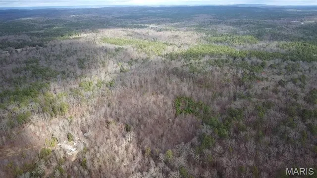 $95,000 | 9512 County Road 451, Winona, MO 65588