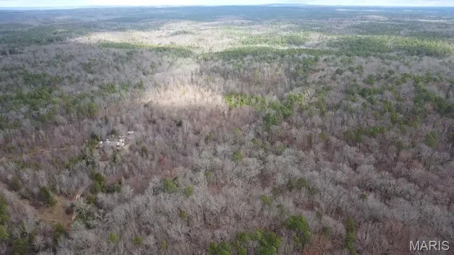 $95,000 | 9512 County Road 451, Winona, MO 65588