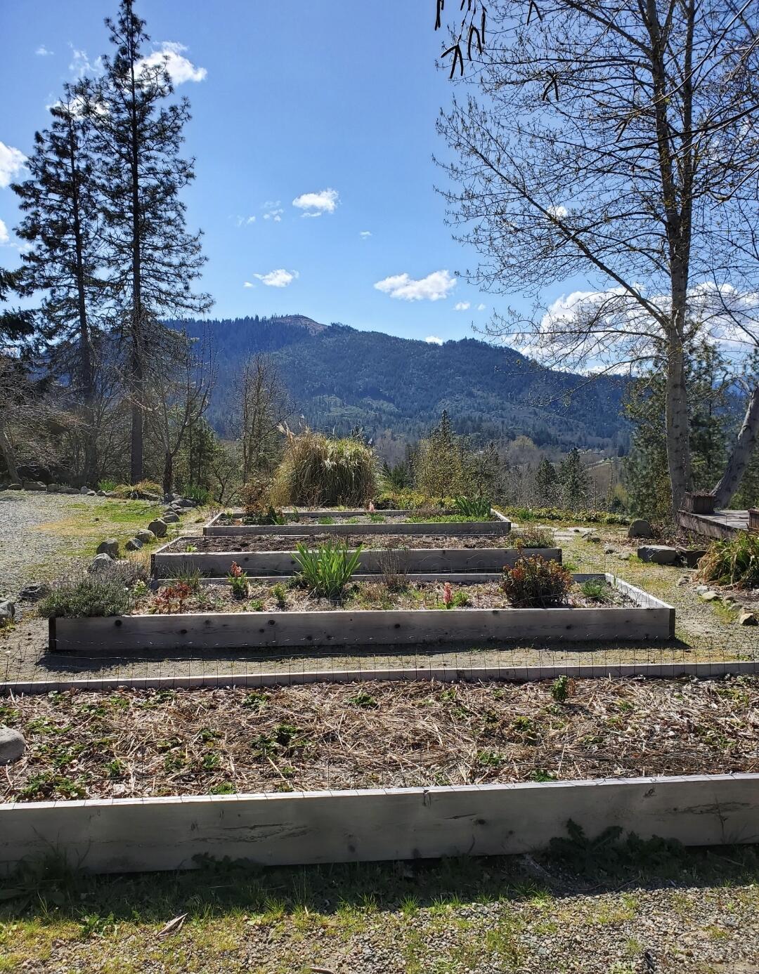 3651 Helms Road Grants Pass, OR 97527 - Photo 49 of 51 Raised beds2