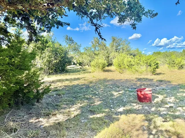 a view of a tree with an empty space