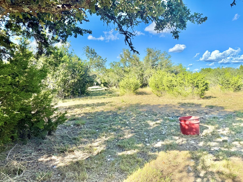 281 Oak Road Harper, TX 78631 - Photo 18 of 22 a view of a tree with an empty space