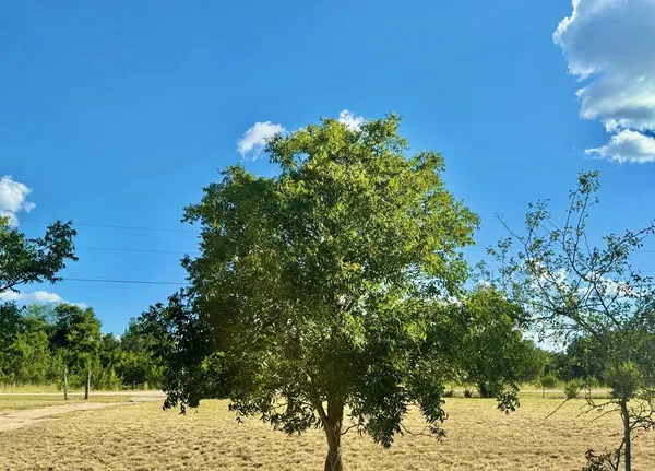 $389,900 | 281 Oak Road, Harper, TX 78631