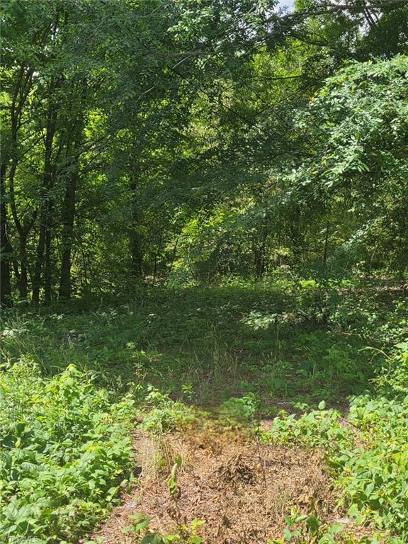 212 Oakview Road High Point, NC 27265 - Photo 2 of 3