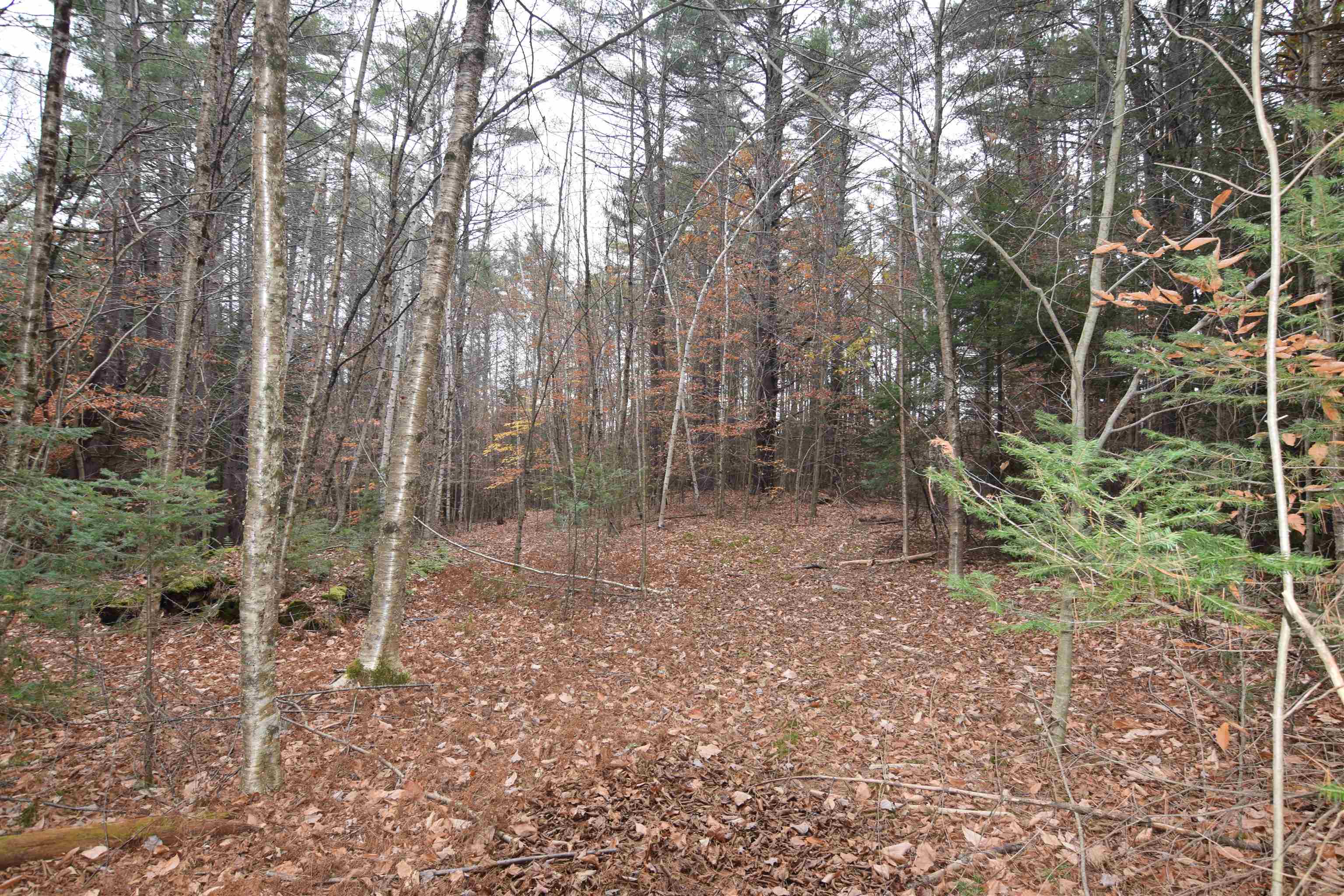 262 Nutting Road Sunapee, NH 03782 - Photo 4 of 4