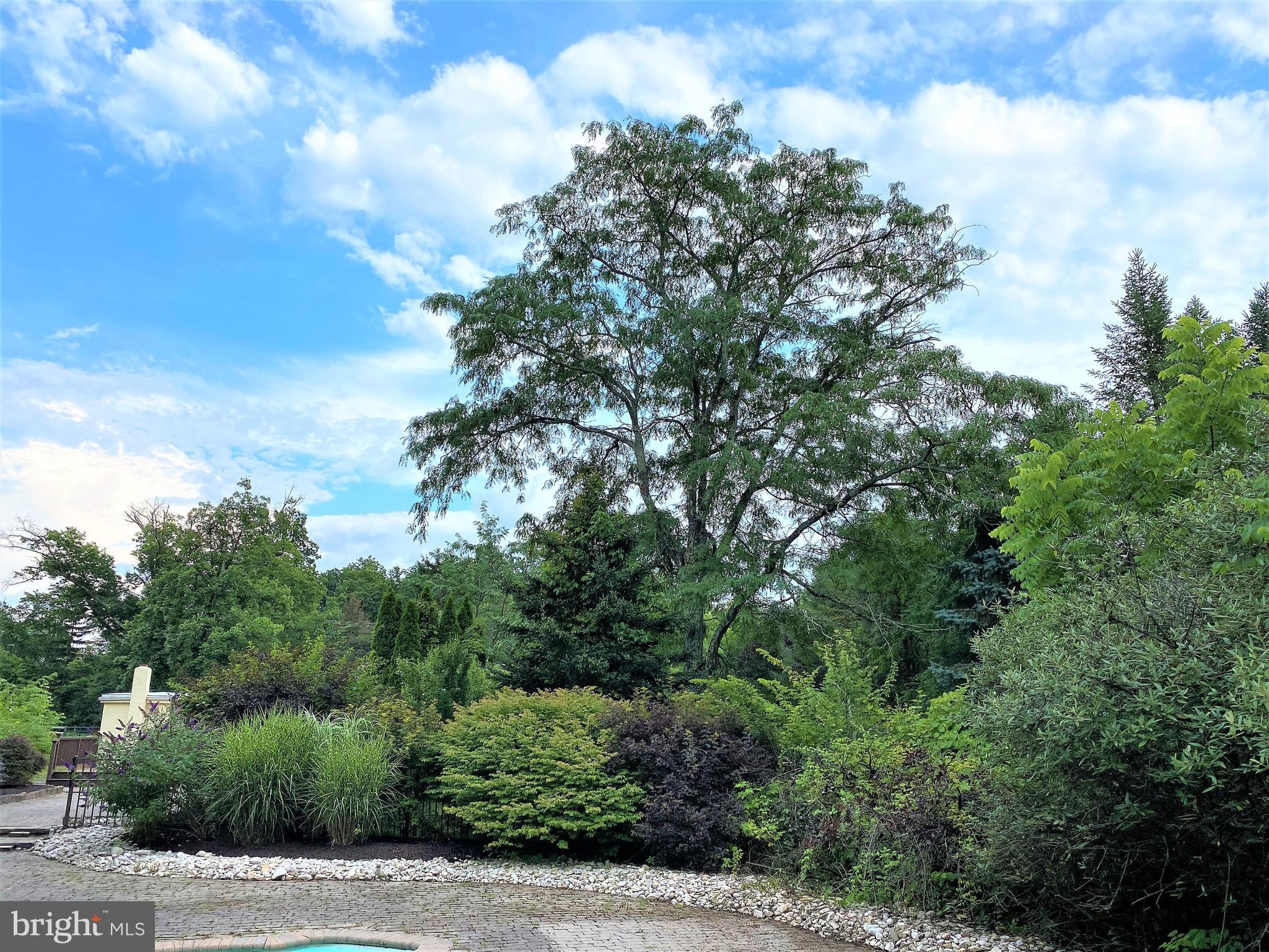 4075 Stump Road Doylestown, PA 18902 - Photo 45 of 51 Gallery Image 45