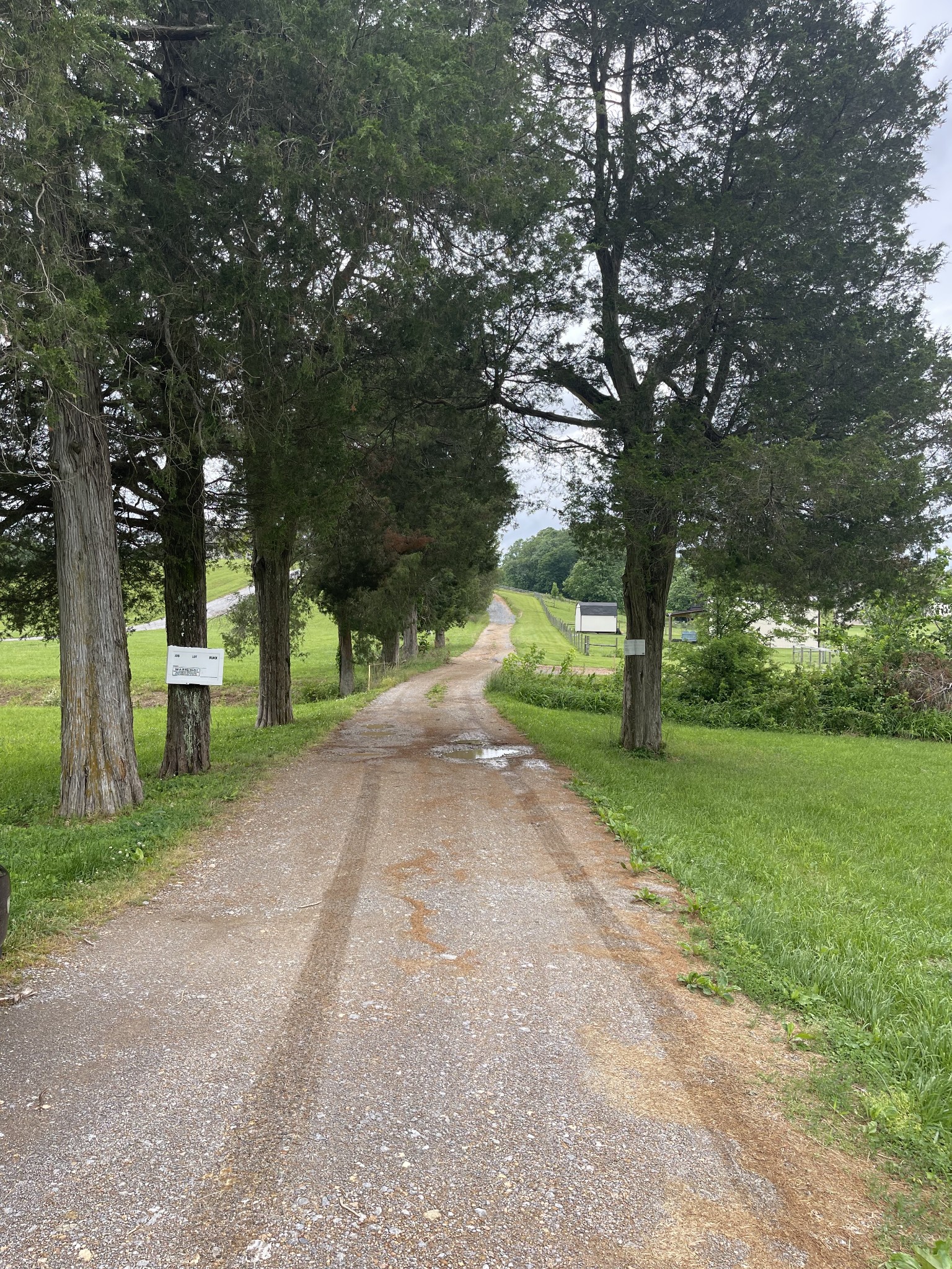 0 Switchboard Road Portland, TN 37148 - Photo 1 of 3 a view of a street with large trees