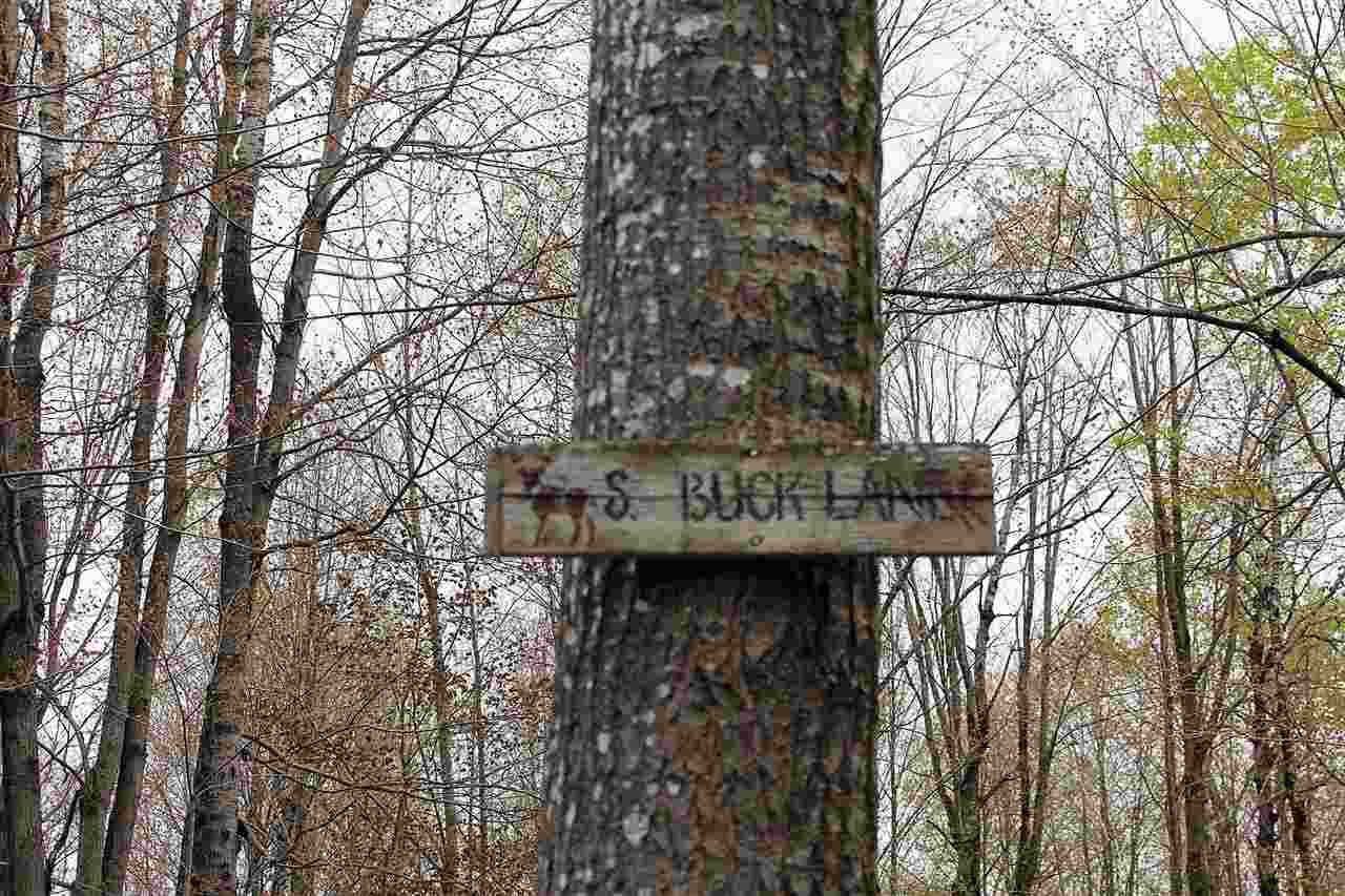0 Nine North Nine Mile Road Pinconning, MI 48650 - Photo 9 of 32