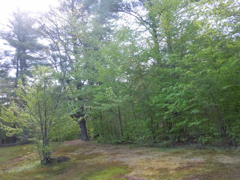 243 Birch Hill Road New Durham, NH 03855 - Photo 13 of 15 Gallery Image 13