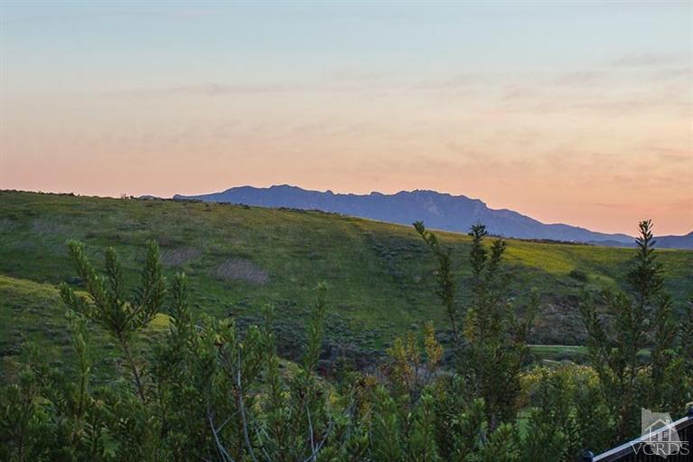 7216 Littler Court Moorpark, CA 93021 - Photo 78 of 92 a view of a lush green field with a tree in the background