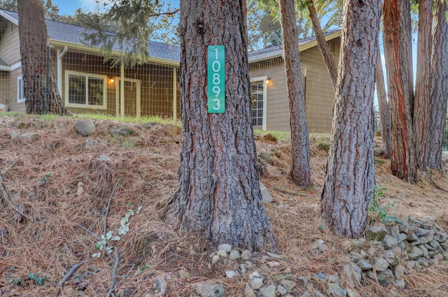 10893 Newtown Road Nevada City, CA 95959 - Photo 55 of 61