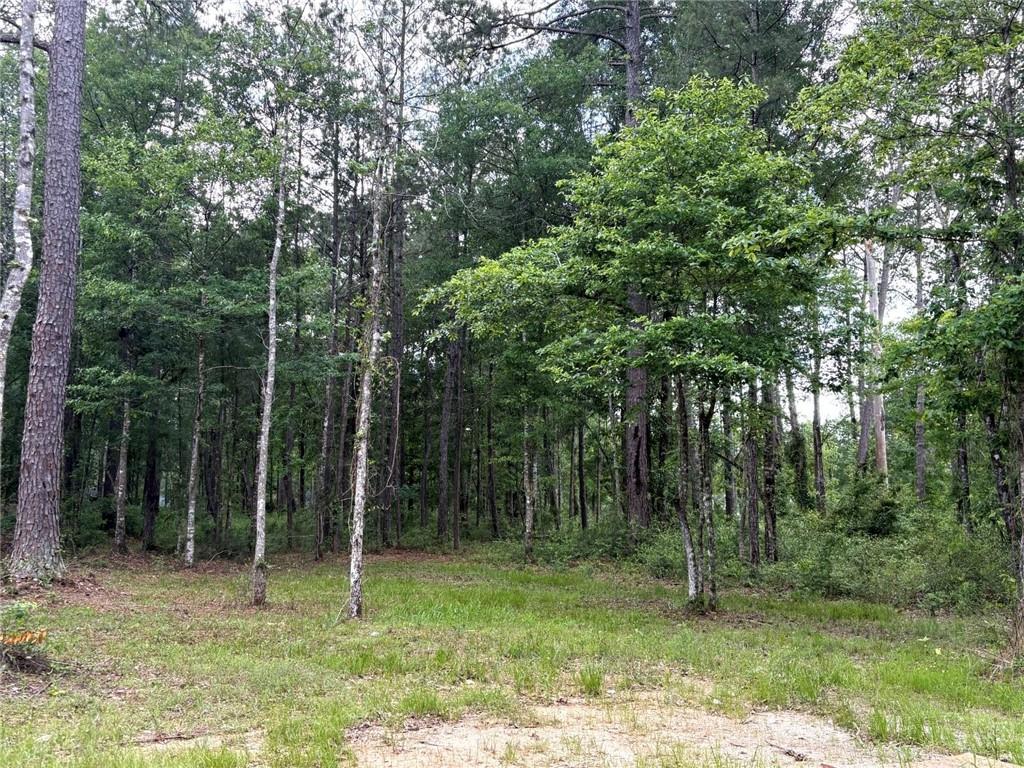 82188 Charles Kelly Road Bush, LA 70431 - Photo 30 of 35 Gallery Image 30