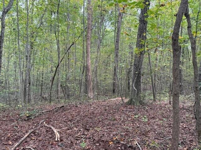 2 Tipple Road Tracy City, TN 37387 - Photo 13 of 16 a view of outdoor space with green space
