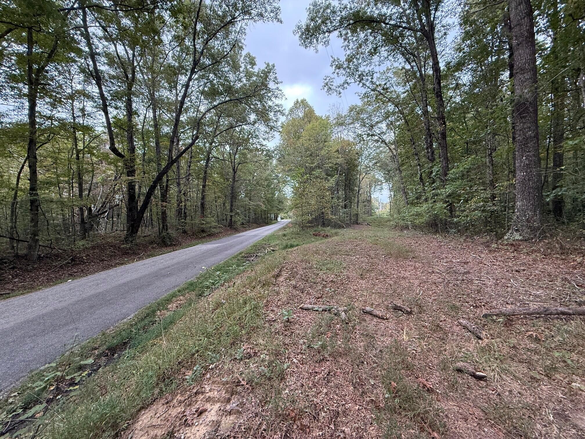 2 Tipple Road Tracy City, TN 37387 - Photo 16 of 16 a view of a forest with trees in the background