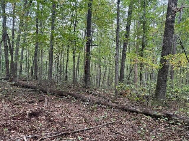 2 Tipple Road Tracy City, TN 37387 - Photo 7 of 16 a view of outdoor space and green space