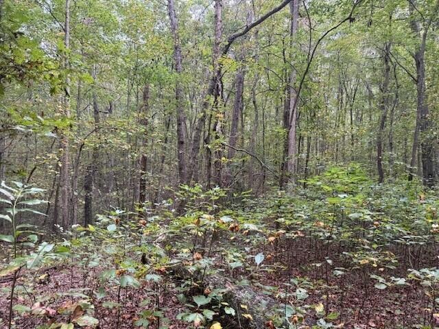 2 Tipple Road Tracy City, TN 37387 - Photo 10 of 16 a backyard of a house with lots of green space