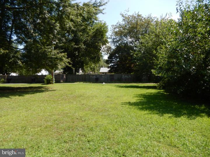 91 North Halsey Road Dover, DE 19901 - Photo 12 of 12 Back Yard