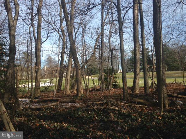 2013 Golf Course Drive Reston, VA 20191 - Photo 27 of 30 Exterior (Rear)