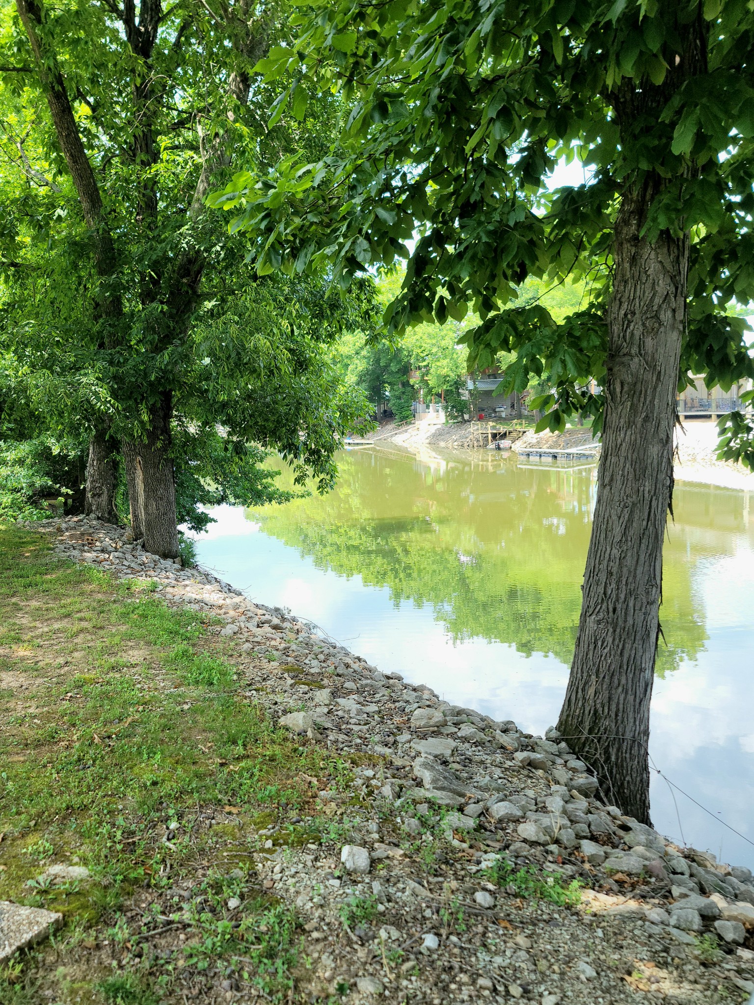 485 Creekside View Lane Decaturville, TN 38329 - Photo 16 of 31 a view of an outdoor space