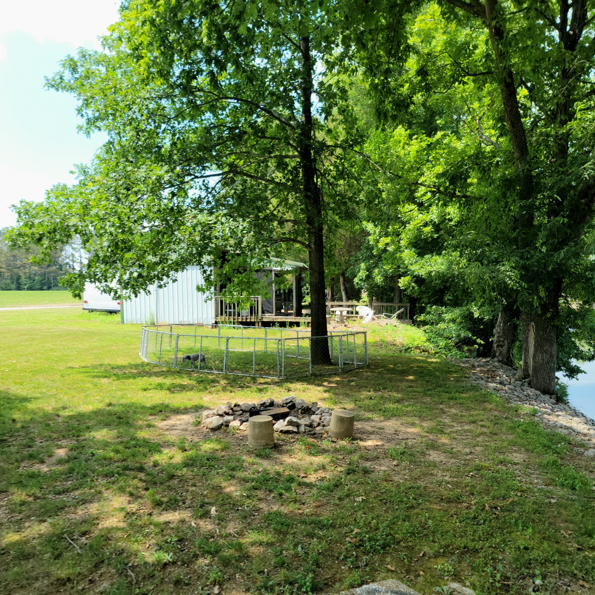 485 Creekside View Lane Decaturville, TN 38329 - Photo 17 of 31 a view of a garden with a tree
