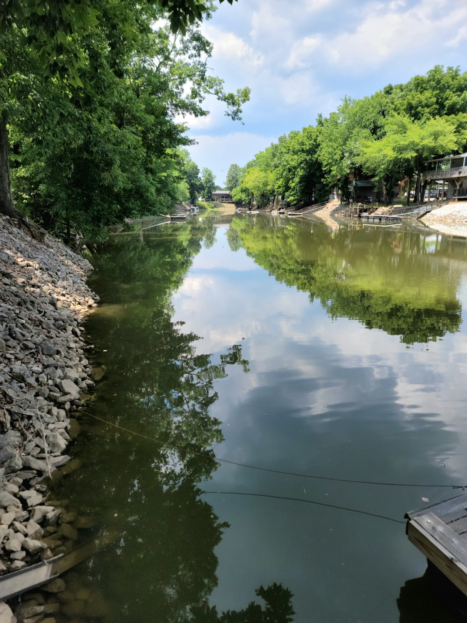 485 Creekside View Lane Decaturville, TN 38329 - Photo 19 of 31 a view of a lake from a yard