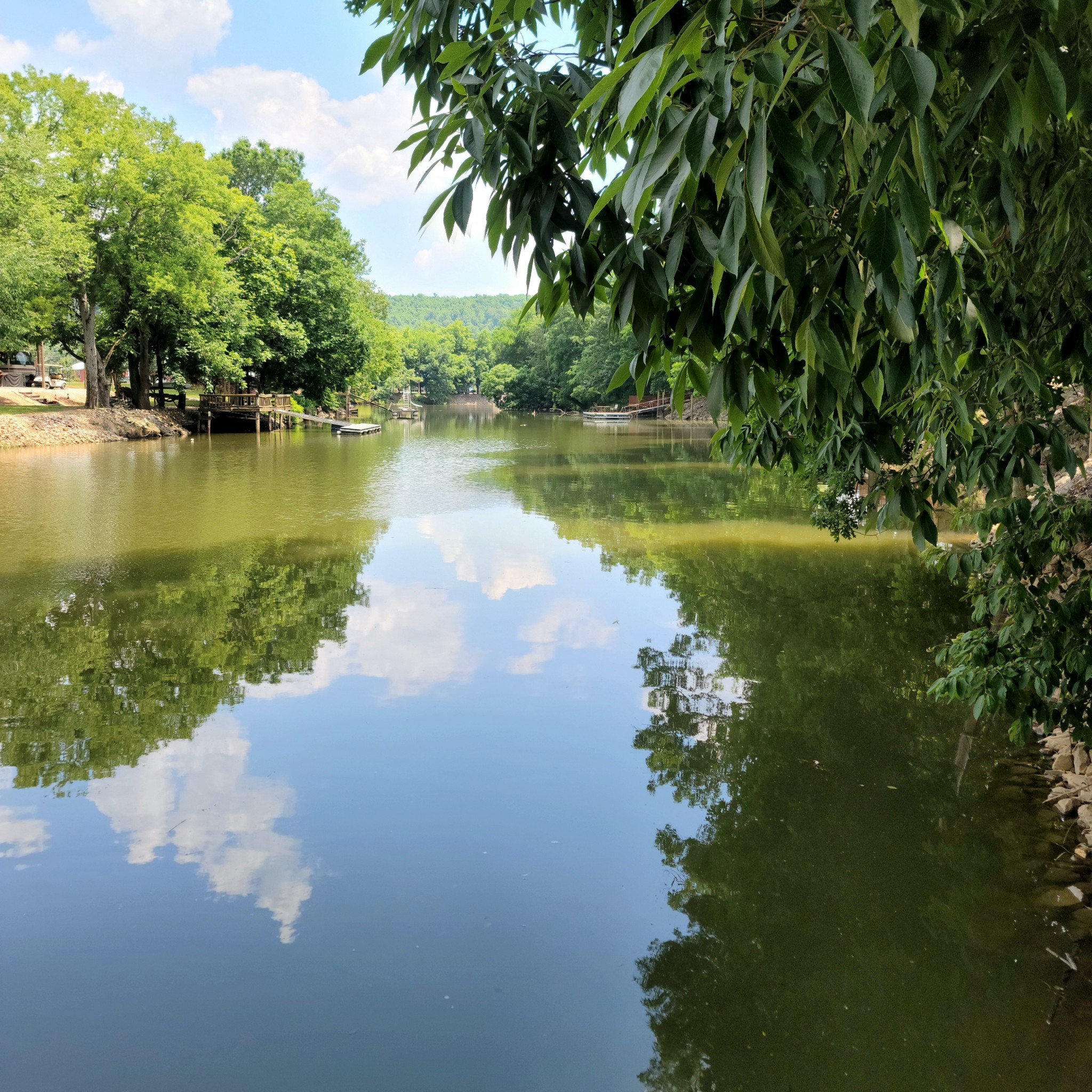 485 Creekside View Lane Decaturville, TN 38329 - Photo 20 of 31 a view of a lake with a yard