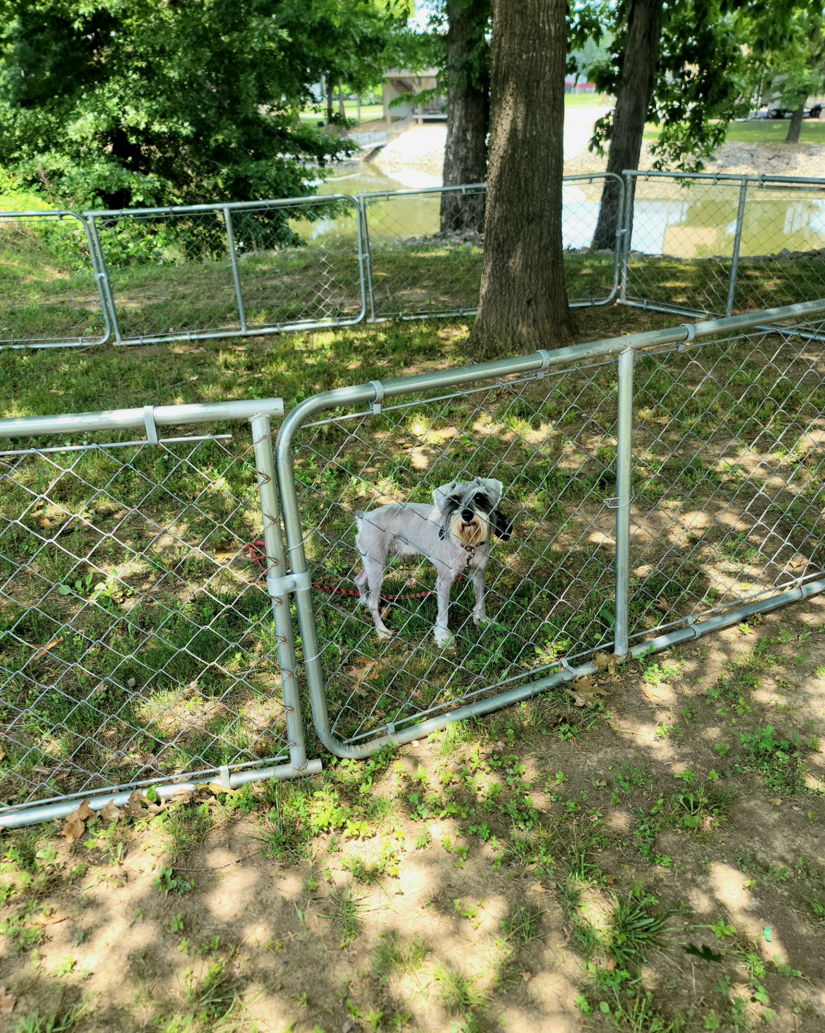 485 Creekside View Lane Decaturville, TN 38329 - Photo 27 of 31 a view of a field