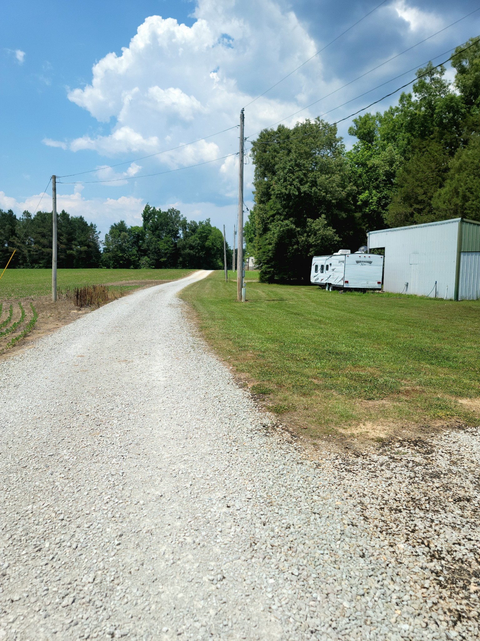 485 Creekside View Lane Decaturville, TN 38329 - Photo 30 of 31 a view of a park with large trees