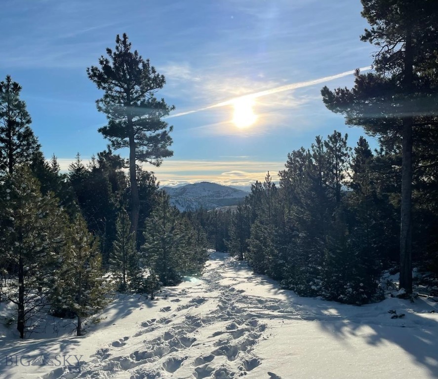 9 Allen Gulch Road Wolf Creek, MT 59648 - Photo 1 of 1 Gallery Image 1