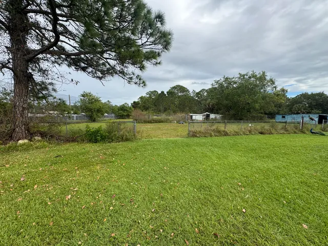 a view of a big yard with plants and a large tree