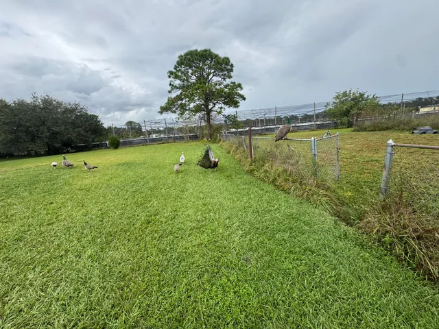 a view of a lake with houses in the back