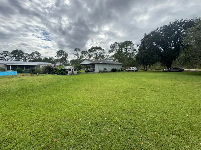a view of a field with a tree in the background