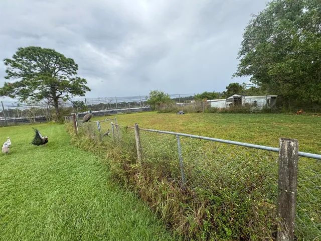 a view of a golf course with a lake